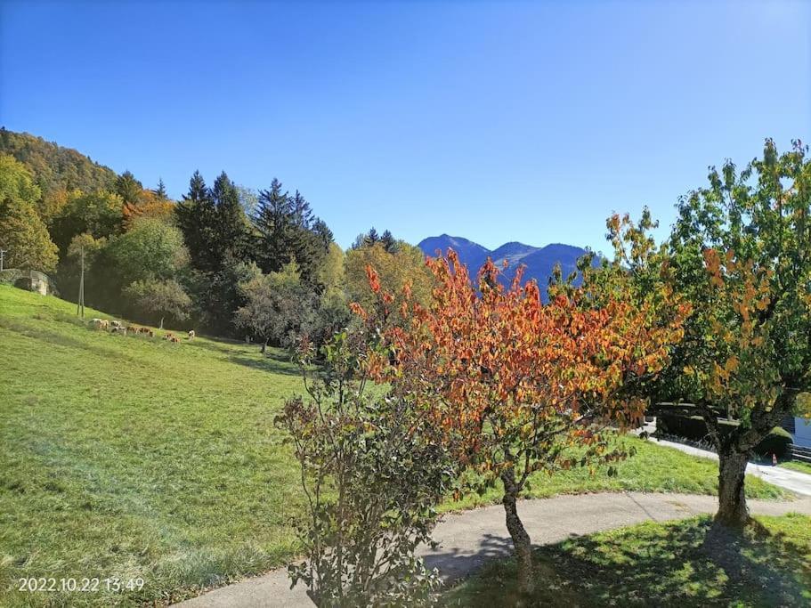 Gite Coeur De Haute-Savoie Viuz-en-Sallaz 외부 사진