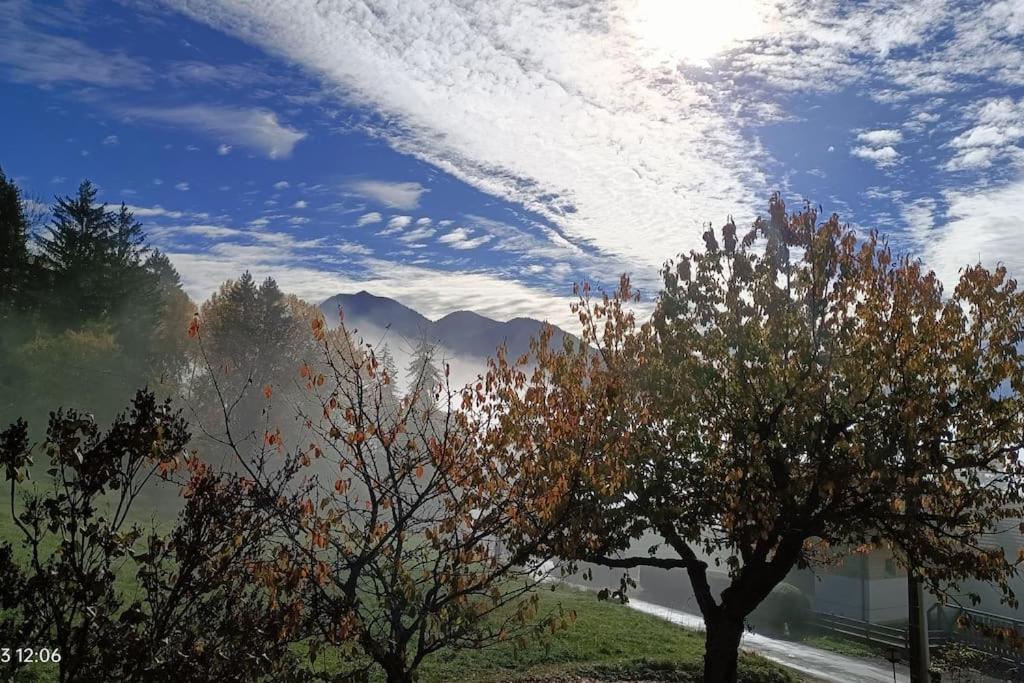 Gite Coeur De Haute-Savoie Viuz-en-Sallaz 외부 사진