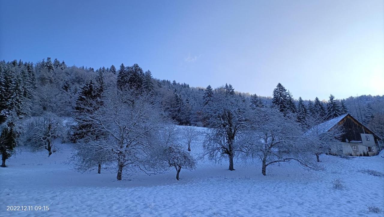 Gite Coeur De Haute-Savoie Viuz-en-Sallaz 외부 사진